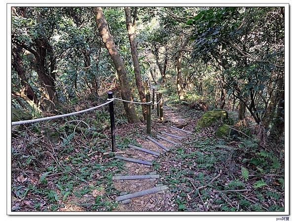 鶯歌蛋山 忠義山 西鶯山 鶯歌石山