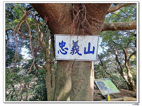 鶯歌蛋山 忠義山 西鶯山 鶯歌石山