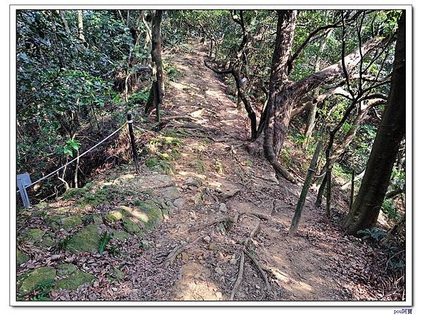 鶯歌蛋山 忠義山 西鶯山 鶯歌石山