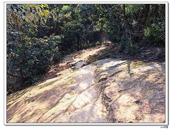 鶯歌蛋山 忠義山 西鶯山 鶯歌石山