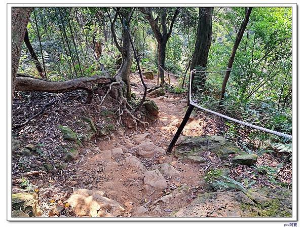 鶯歌蛋山 忠義山 西鶯山 鶯歌石山