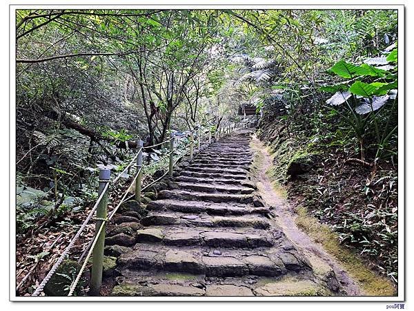 土城 二尖山 五尖山 牛埔頭山 大尖山