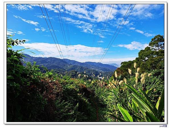 土城 二尖山 五尖山 牛埔頭山 大尖山