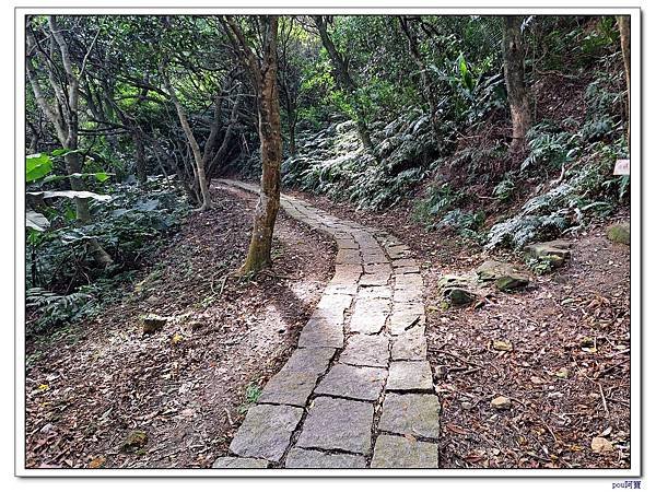 土城 二尖山 五尖山 牛埔頭山 大尖山