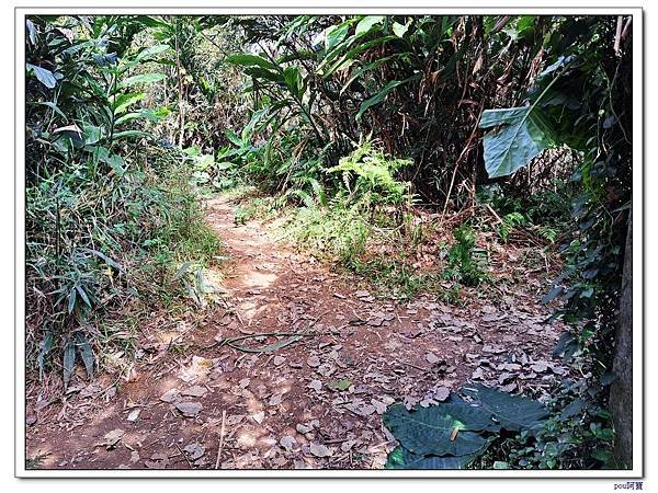 土城 二尖山 五尖山 牛埔頭山 大尖山