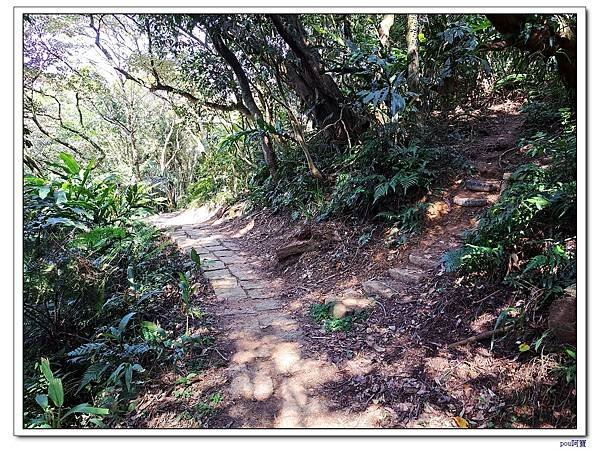 土城 二尖山 五尖山 牛埔頭山 大尖山