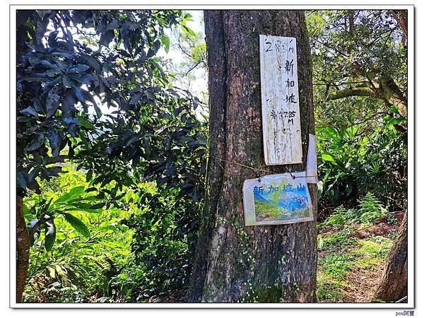 土城 二尖山 五尖山 牛埔頭山 大尖山