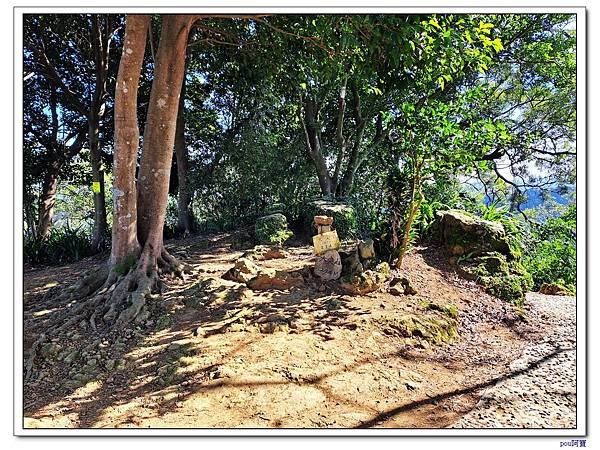 土城 二尖山 五尖山 牛埔頭山 大尖山