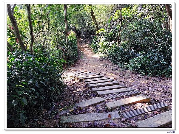 土城 二尖山 五尖山 牛埔頭山 大尖山