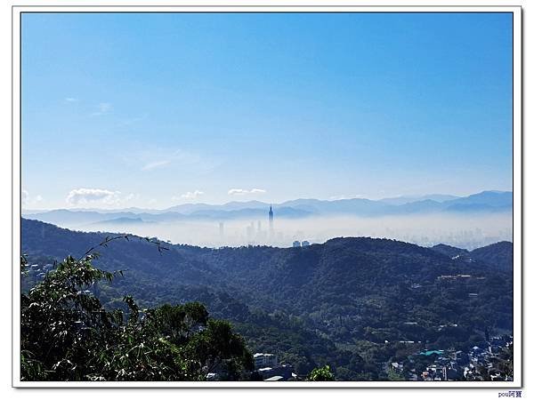 平菁街42巷櫻花