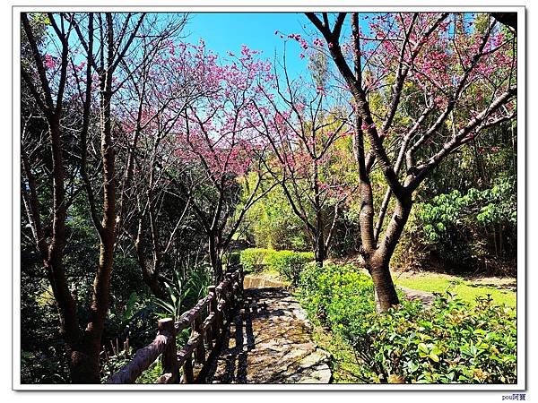 百年大榕樹 石灰坑山 大棟尾山 大湖頂山 大棟山