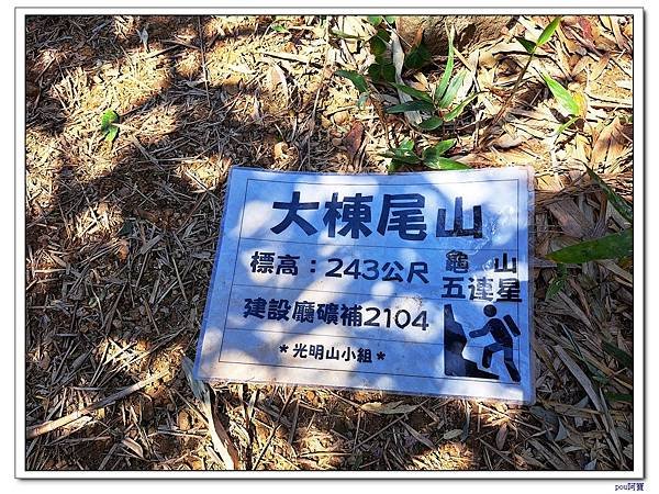 百年大榕樹 石灰坑山 大棟尾山 大湖頂山 大棟山
