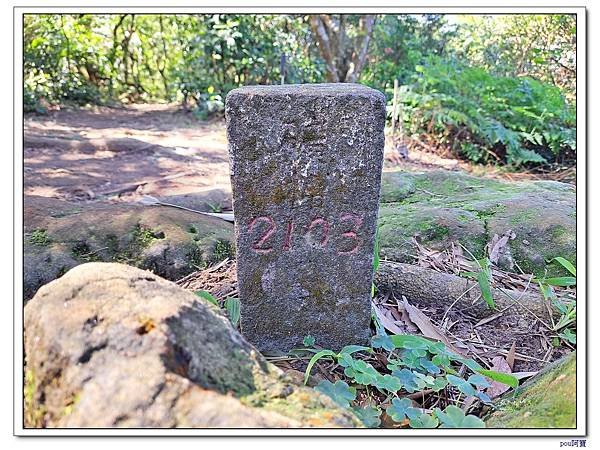 百年大榕樹 石灰坑山 大棟尾山 大湖頂山 大棟山