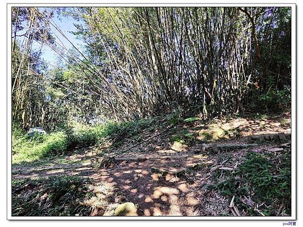 百年大榕樹 石灰坑山 大棟尾山 大湖頂山 大棟山