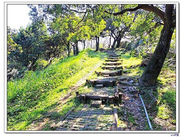 百年大榕樹 石灰坑山 大棟尾山 大湖頂山 大棟山