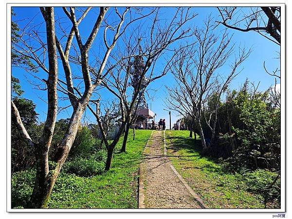 百年大榕樹 石灰坑山 大棟尾山 大湖頂山 大棟山