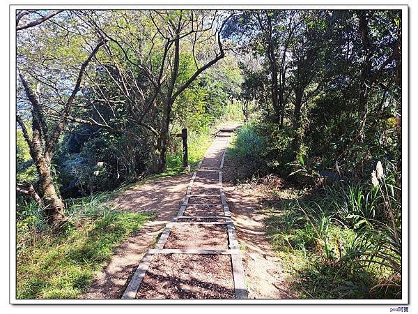大香山慈音巖 員潭子坑山 待老坑山