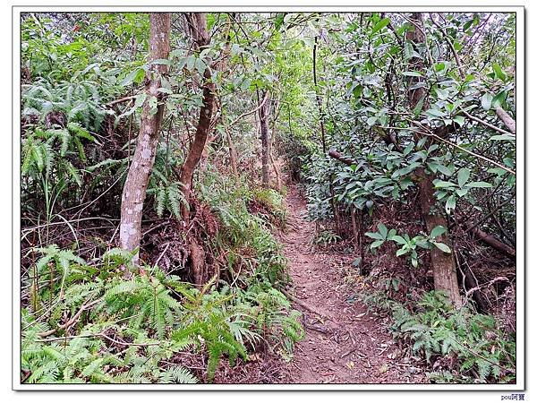 士林 文間山 國姓山 劍南山東峰 西湖山北北峰 大崙尾山