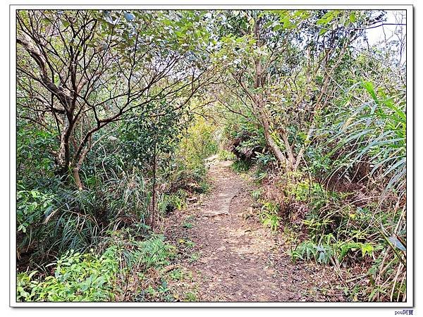 士林 文間山 國姓山 劍南山東峰 西湖山北北峰 大崙尾山