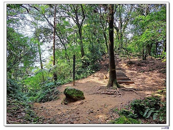 深坑 阿柔洋山 二格山