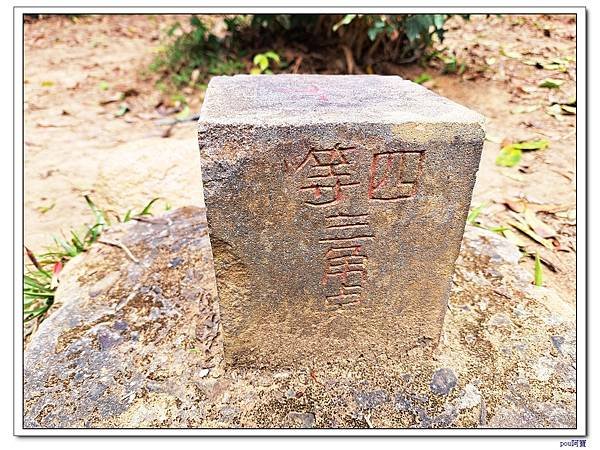 內湖 碧山 梅花山 梅花山北峰 大崙頭山