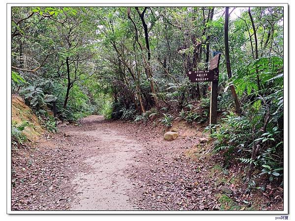 內湖 碧山 梅花山 梅花山北峰 大崙頭山