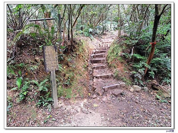 內湖 碧山 梅花山 梅花山北峰 大崙頭山