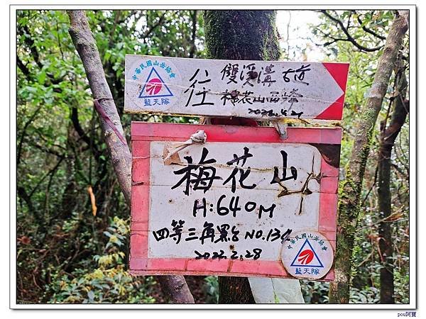 內湖 碧山 梅花山 梅花山北峰 大崙頭山