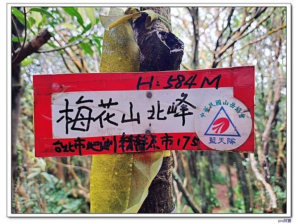 內湖 碧山 梅花山 梅花山北峰 大崙頭山