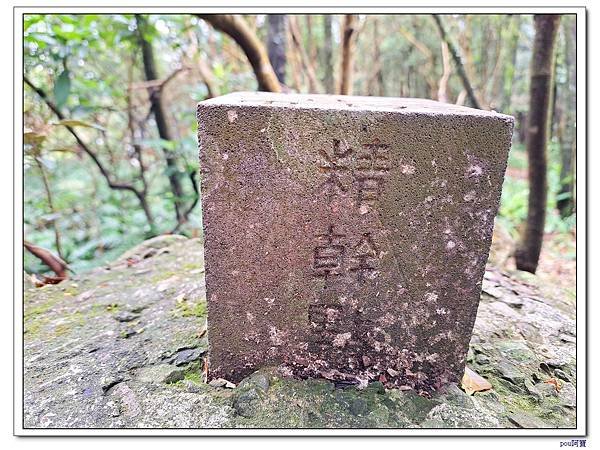 內湖 碧山 梅花山 梅花山北峰 大崙頭山