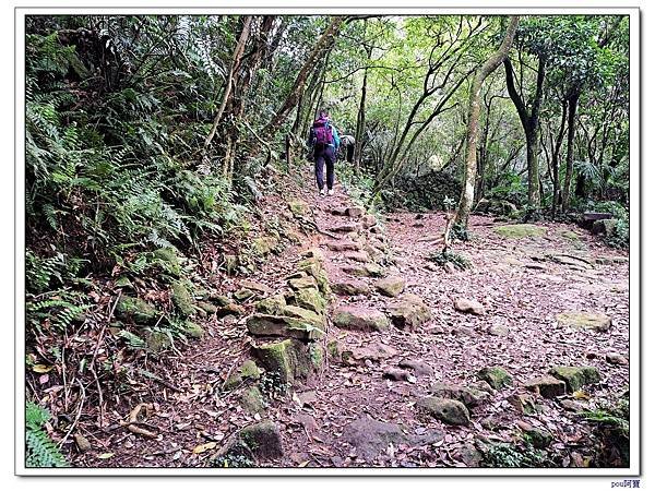 內湖 碧山 梅花山 梅花山北峰 大崙頭山