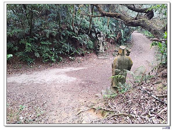 內湖 碧山 梅花山 梅花山北峰 大崙頭山