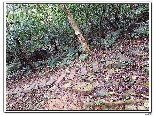 土城 太極嶺 五城山 天上山