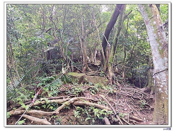 土城 太極嶺 五城山 天上山