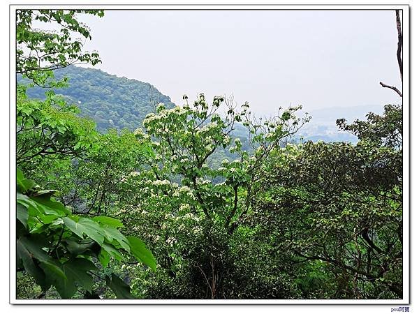 土城 太極嶺 五城山 天上山