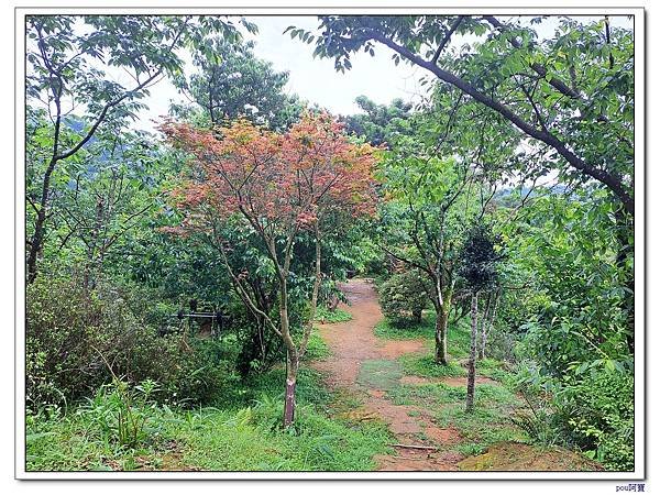 土城 太極嶺 五城山 天上山