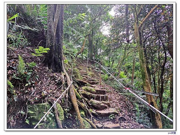 土城 太極嶺 五城山 天上山