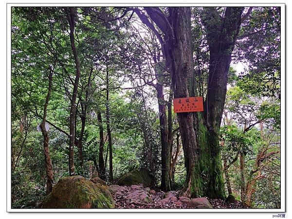 土城 太極嶺 五城山 天上山