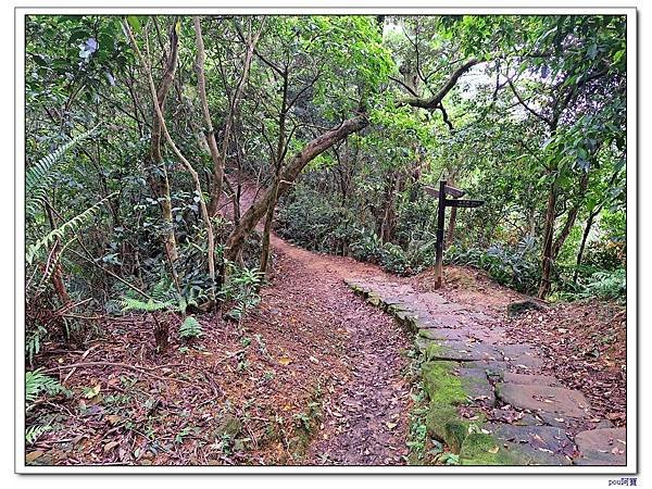 土城 太極嶺 五城山 天上山