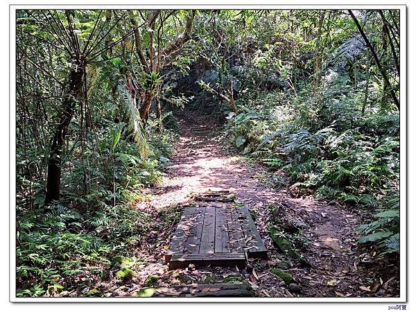 深坑 山豬淚湖 山豬窟尖 土庫岳