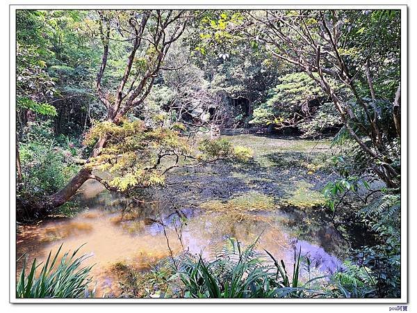 深坑 山豬淚湖 山豬窟尖 土庫岳