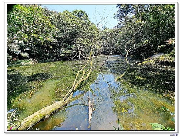 深坑 山豬淚湖 山豬窟尖 土庫岳