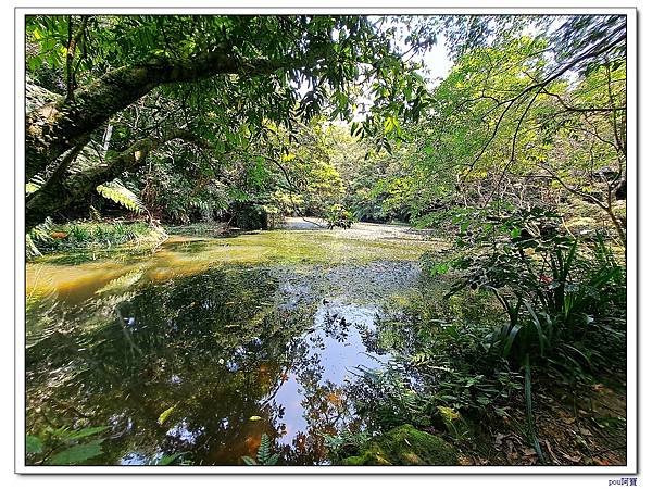 深坑 山豬淚湖 山豬窟尖 土庫岳