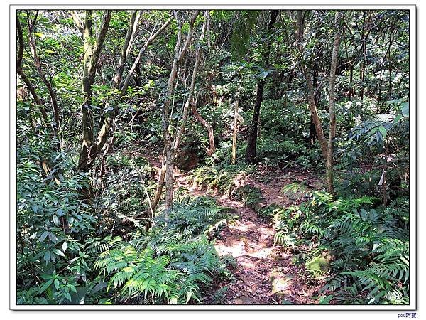 深坑 山豬淚湖 山豬窟尖 土庫岳