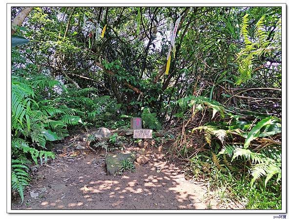 深坑 山豬淚湖 山豬窟尖 土庫岳