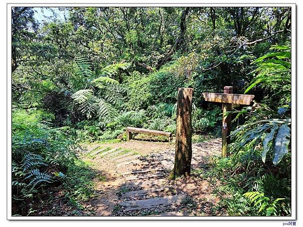 深坑 山豬淚湖 山豬窟尖 土庫岳