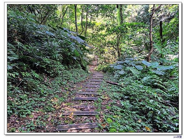 深坑 山豬淚湖 山豬窟尖 土庫岳