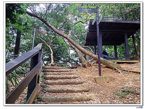 鶯歌 鶯歌蛋山 忠義山 牛灶坑山 龜公山