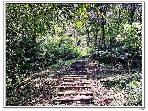 土城 內冷水坑山 青龍嶺 大尖山