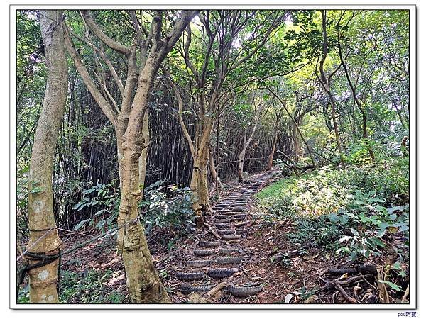 龜山 大湖頂山 大棟山 關公嶺